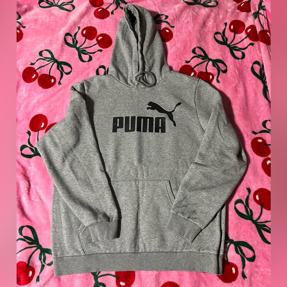 Puma Gray Hoodie